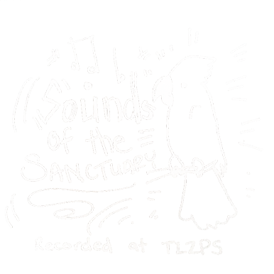 Sounds of The Landing Zone Parrot Sanctuary, Palm Springs.