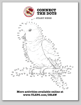 Grey Parrot Connect the Dots Page for Kids