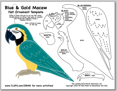 Parrot Crossword Page for Kids