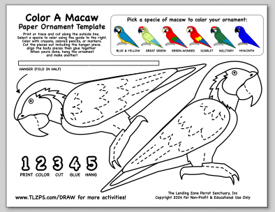 Parrot Crossword Page for Kids