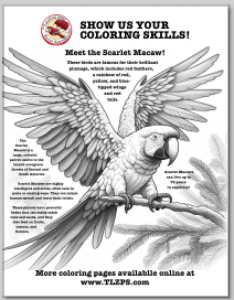 Scarlet Macaw Coloring Page for Kids