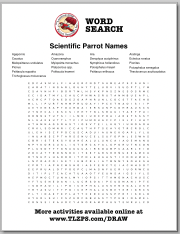 Word Search Page for Kids