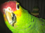 Small Photo